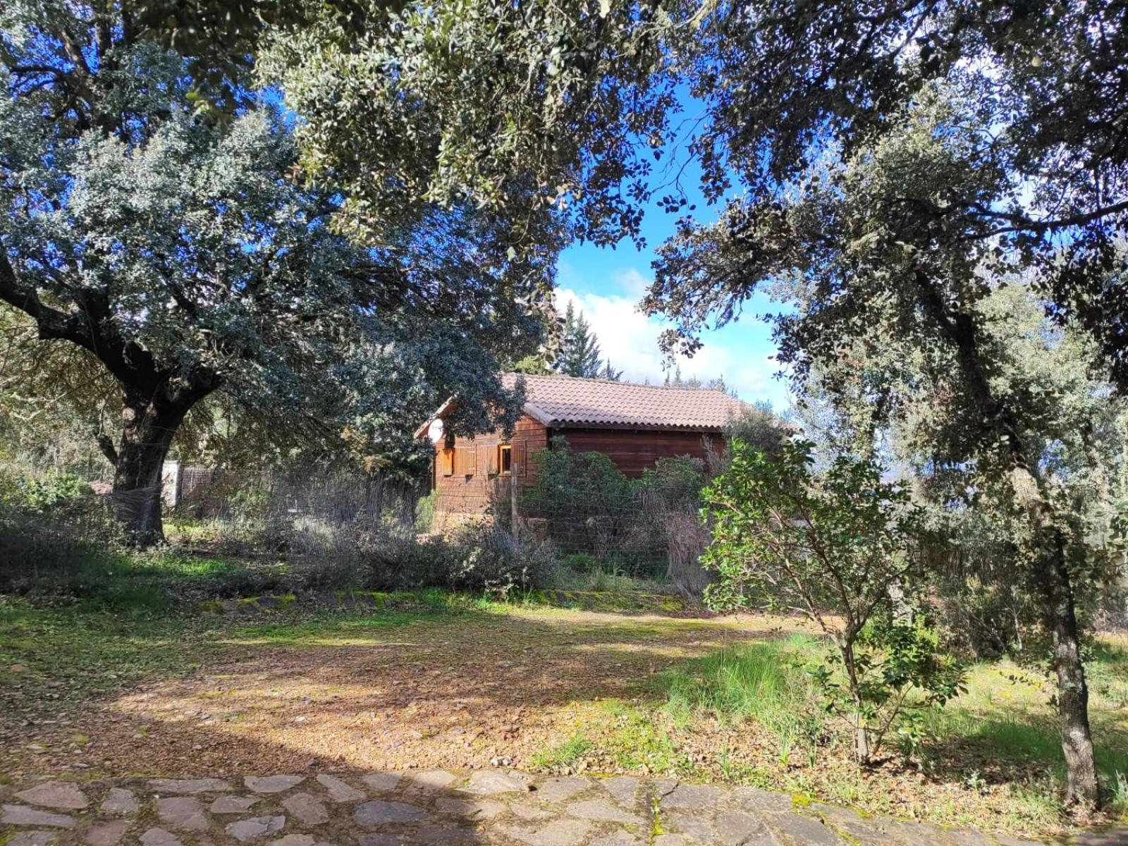 Nuevo Ecolodge Cabaneros Retuerta de Bullaque Extérieur photo