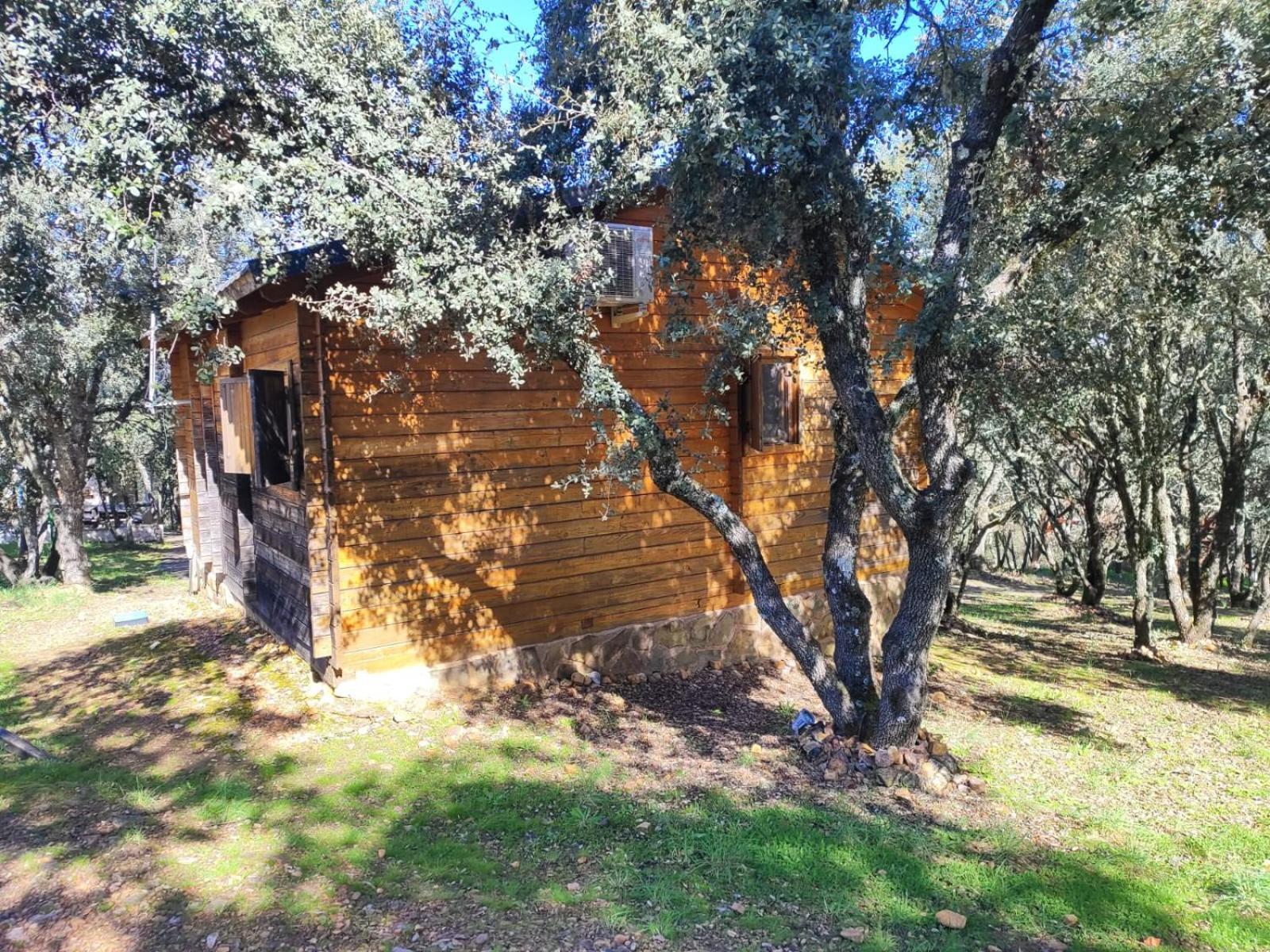 Nuevo Ecolodge Cabaneros Retuerta de Bullaque Extérieur photo