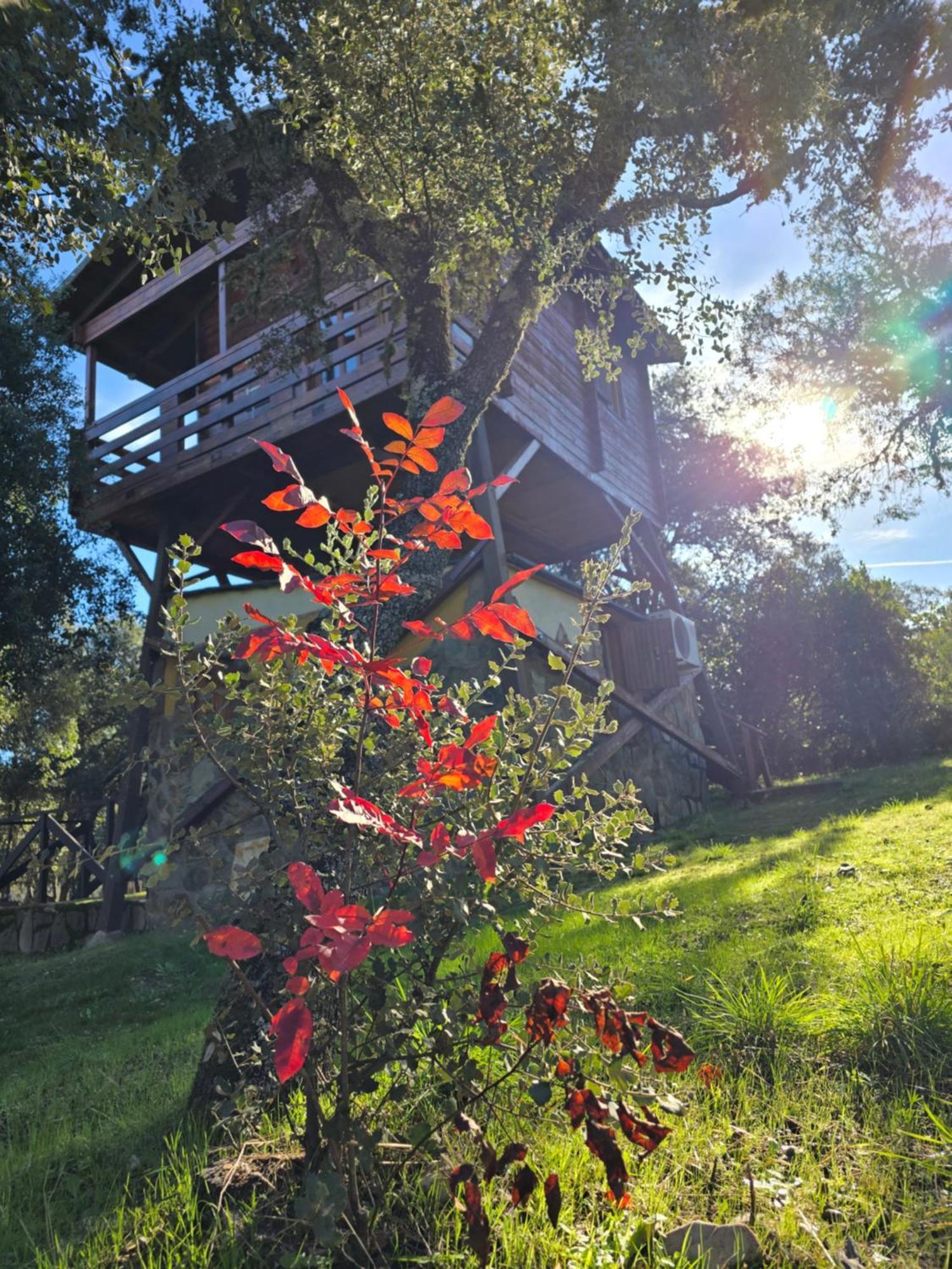 Nuevo Ecolodge Cabaneros Retuerta de Bullaque Extérieur photo